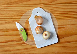 White ceramic chopping board and onions - horizontal