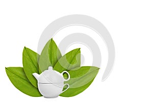 white ceramic kettle or teapot with cup on the background of green leaves. Isolated on white. concept of natural origin
