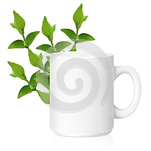 White ceramic mug