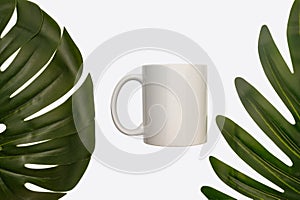 White ceramic mug mockup isolated on white background. With palm leaves.