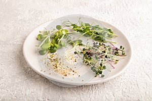 White ceramic plate with microgreen sprouts of green pea, sunflower, alfalfa, radish on gray. Side view