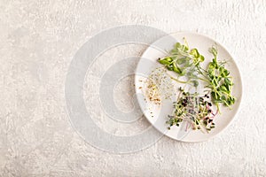 White ceramic plate with microgreen sprouts of green pea, sunflower, alfalfa, radish on gray. Top view