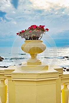 White ceramic pot with red geraniums on the blue sea background in sunny summer day. Copy space. Boats on the port with summer