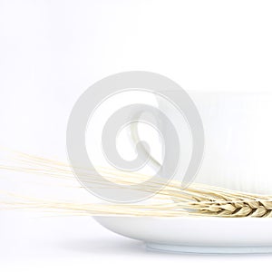 White ceramic teacup with ear of whea