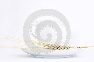 White ceramic teacup with ear of whea