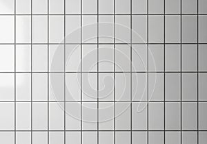 White ceramic tiles arranged in a grid pattern with thin, dark grout lines. The tiles are square