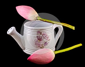 White ceramic watercan, sprinkler, with pink lotus, water lily flowers, close up