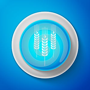 White Cereals icon set with rice, wheat, corn, oats, rye, barley sign isolated on blue background. Ears of wheat bread