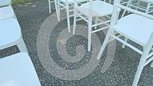 White ceremony chairs. Wedding detail. Before party set