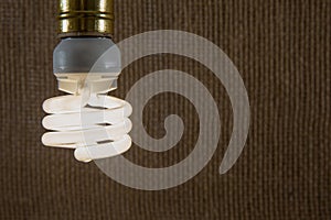 White CFL Light Bulb Close-up