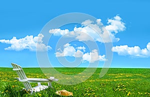 White chair and hat in a field of dandelions