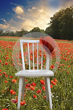 White chair with red hat standing in meadow with red poppies