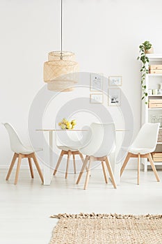 White chairs in bright room