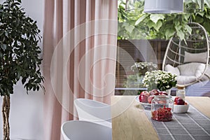 White chairs at table with fruits in dining room interior with plant, pink drapes and window. Real photo