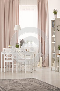 White chairs at table with plants in pastel pink dining room interior with rug and drapes. Real photo