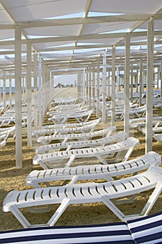 White chaise lounges stand in a row on a sandy beach,