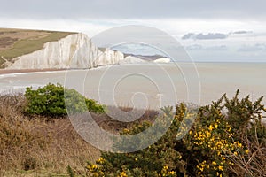 The white chalk cliffs in the Seven Sisters Country Park