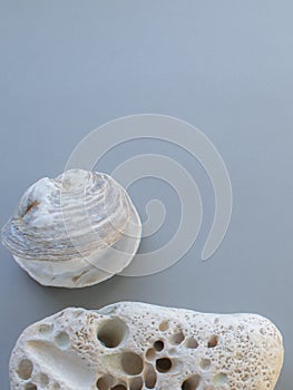 White chalk stone from Seven Sisters Cliffs in United Kingdom