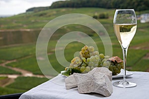 White chalk stones from Cote des Blancs near Epernay, region Champagne, France, glass of blanc de blancs champagne from grand cru photo