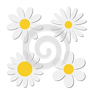 White chamomile daisy flower round icon set. Camomile petal. Cute plant collection. Growing concept. Happy Valentines Day