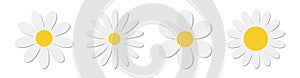 White chamomile daisy flower round icon set. Camomile petal line. Cute plant collection. Growing concept. Happy Valentines Day