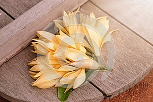 White Champaka Flowers On Wooden With Sunlight