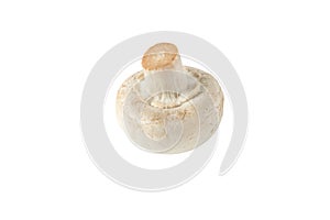 White champignon button mushroom isolated on white. Transparent png additional format