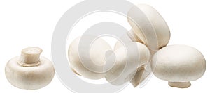 White champignon mushrooms or white button mushrooms