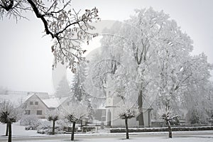 White chapel under snowy trees at the road