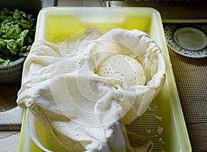 White cheese in cheesecloth.