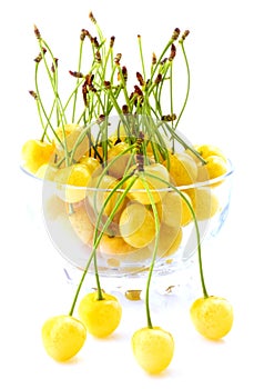 White cherries in bowl isolated