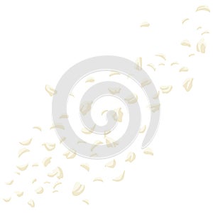 White Cherry Blossom Petals Rose Falling Flower Illustration Vector Art