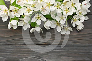 white cherry blossoms on dark wooden background. top view