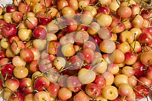 White Cherry close up