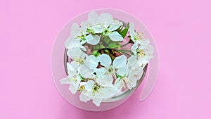 White cherry flowers in a glass bowl.