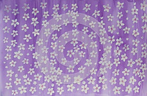 White cherry flowers on purple background, illustration watercolor