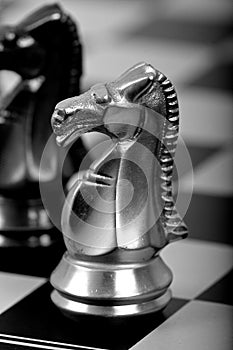White chess horse on a board