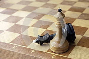 White chess king put checkmate to black king. Black king lying defeated