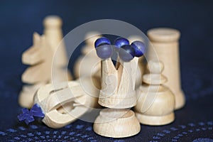 White chess pieces