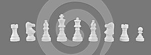 White Chess set, Clipping path, game, war, emulation and planning concept