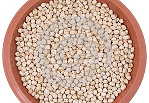 White Chick Pea or Kabuli Chana