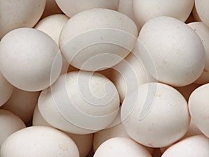 White Chicken Eggs