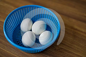 4 white chicken eggs in blue plastic basket on wood floor. 1 of 4 Chicken is ready to break out the egg shell from inside