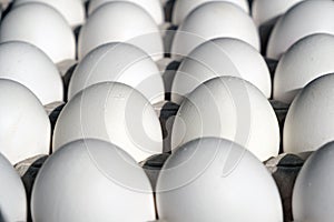 White chicken eggs in a cardboard package