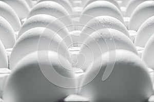 White chicken eggs in a cardboard package