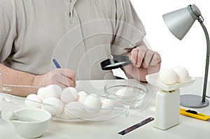 White chicken eggs are carefully inspecting