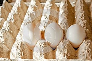 White chicken eggs in carton box, close up
