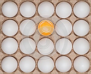 White chicken eggs in the carton box