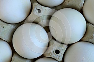 White chicken eggs are fresh, stacked in ecological cardboard packaging. Food background. Top viev