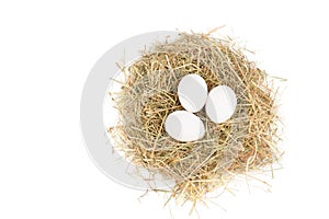 White chicken eggs in a hay nest isolated on a white background